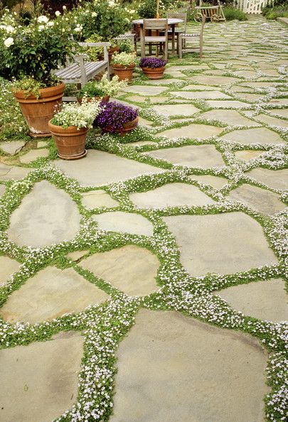 Đá slate cho lối đi hoặc tiểu cảnh – ảnh tham khảo 16