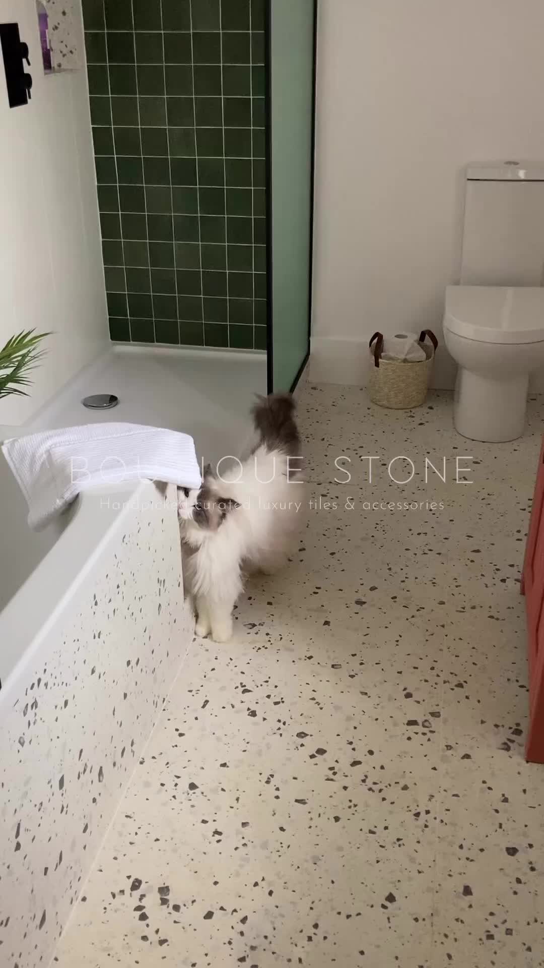 Gạch porcelain vân terrazzo – ảnh tham khảo 9